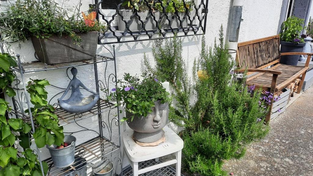Florentiner Haus キーフェルスフェルデン エクステリア 写真