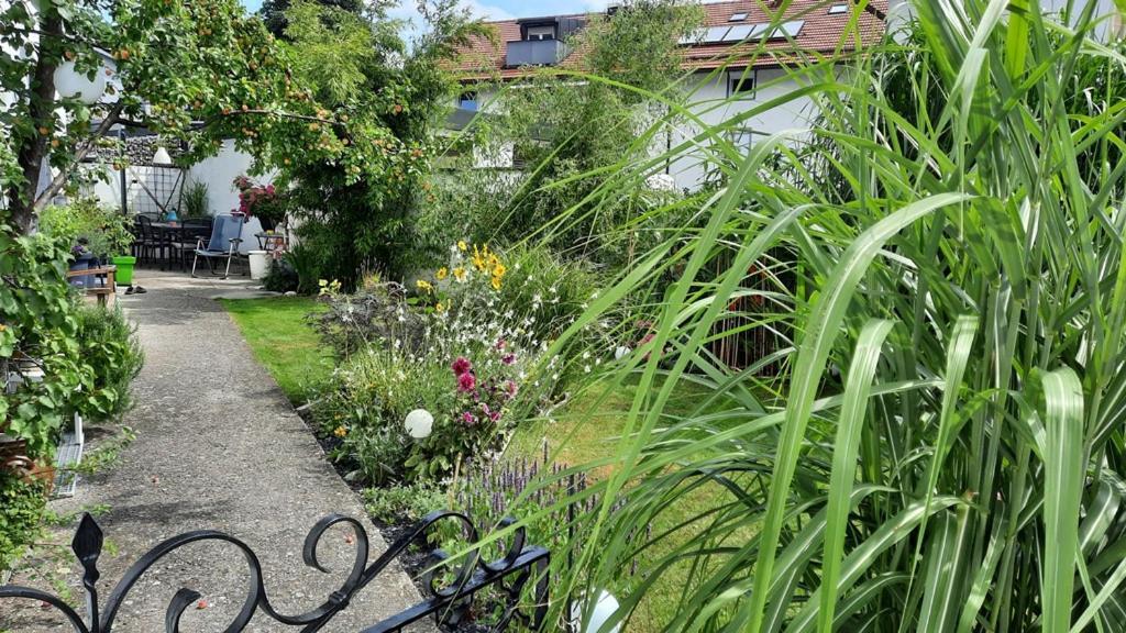 Florentiner Haus キーフェルスフェルデン エクステリア 写真